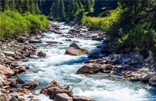 SAKARYA/SAPANCA
